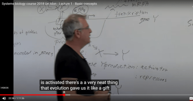 2018 Sys Bio Uri Alon 01-02