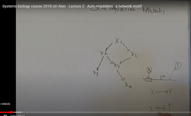 2018 Sys Bio Uri Alon 02-01